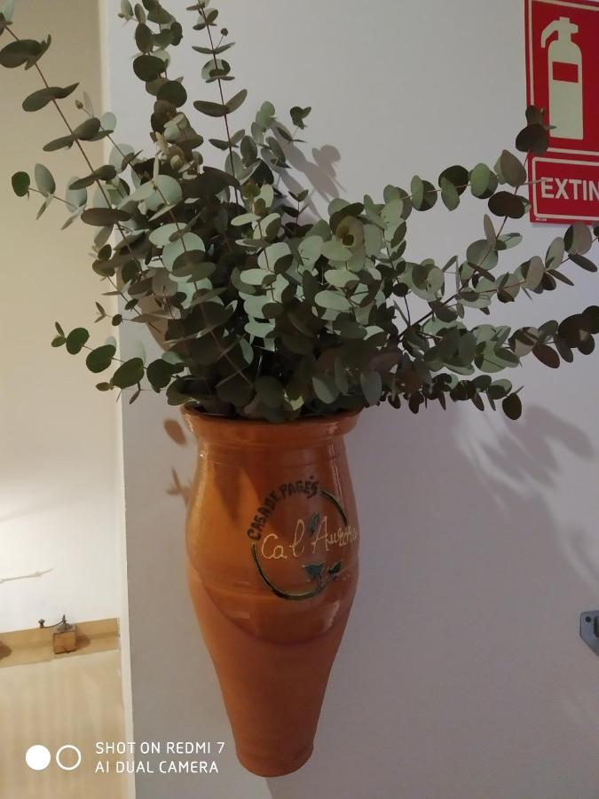 Ferienwohnung Ca L'Aurora Bot Exterior foto